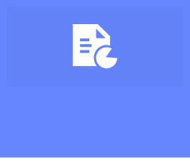 企業(yè)年報